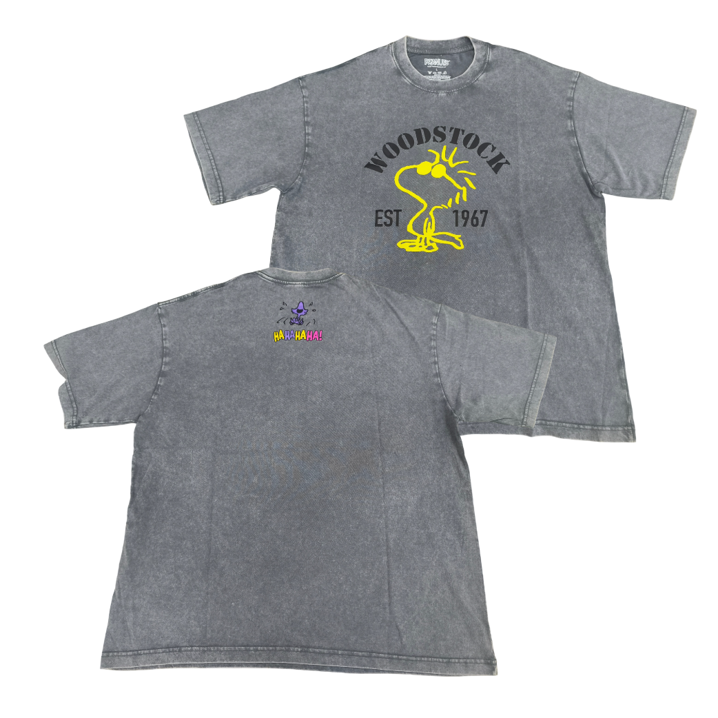 [PopUp訂購] 各款 Snoopy 新款或精選 Tee (LifeLike) [請在 "Style" 選項選擇所需貨品]